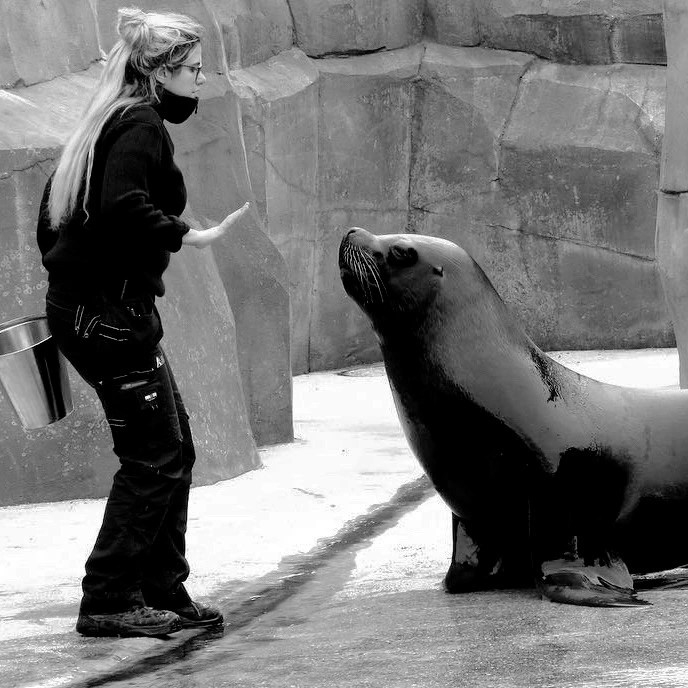 Salomé face à une oterie, soigneur animalier plongeur dans un parc zoologique et aquarium