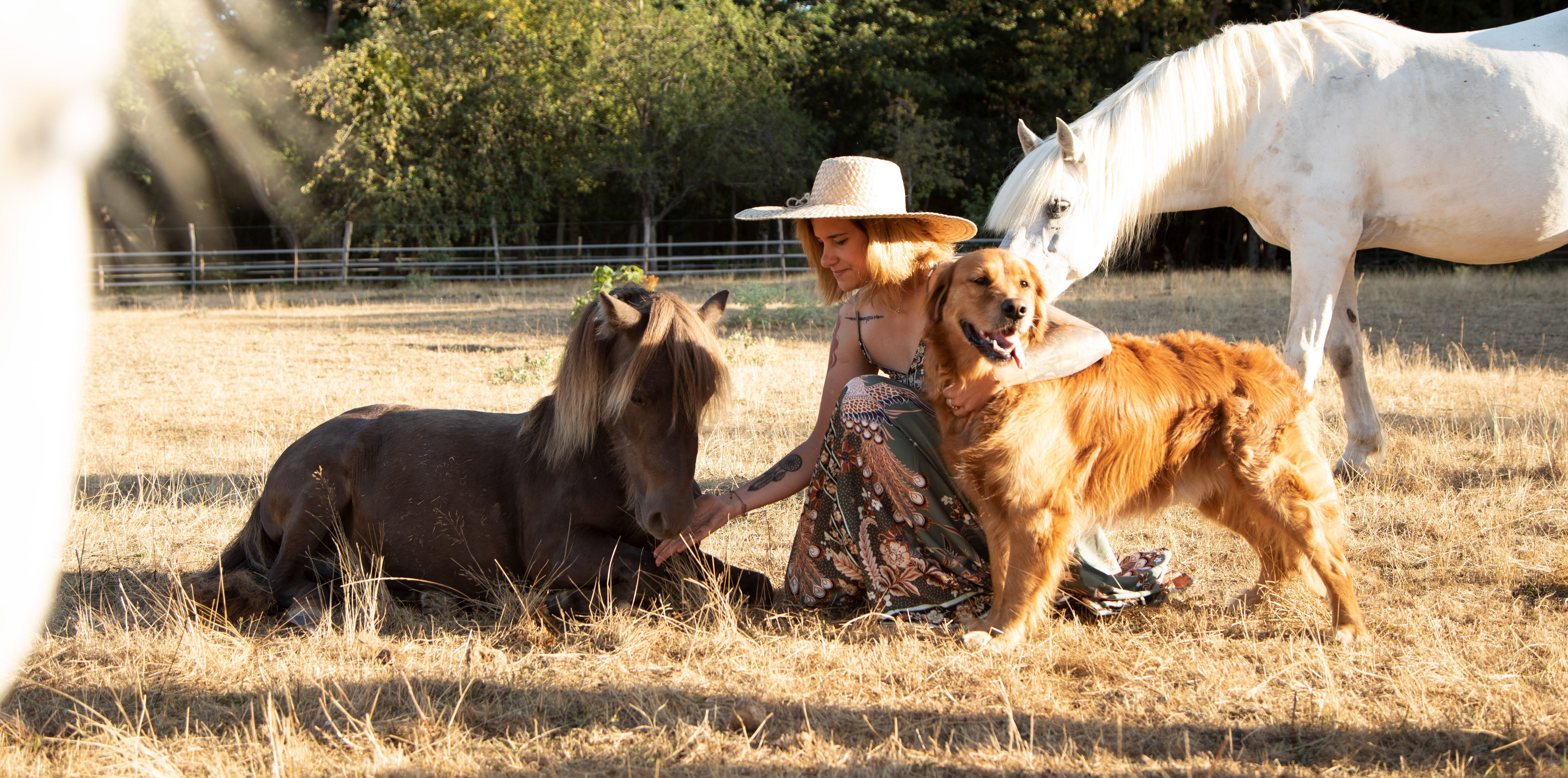 Salomé est accroupie au milieu d'un champs entouré d'un chien, d'un poney couché et d'un cheval debout