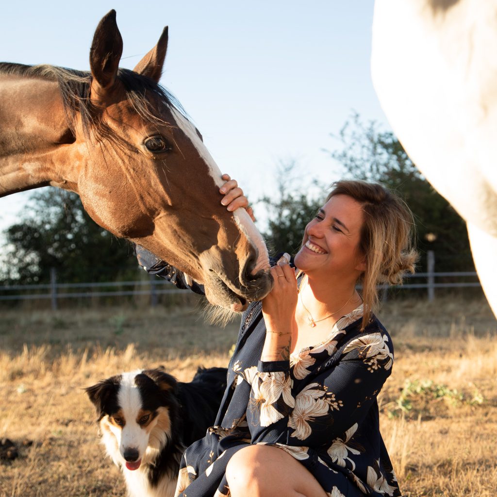 Soin bien être pour animaux en communication animale pour cheval, chien ou encore chat.