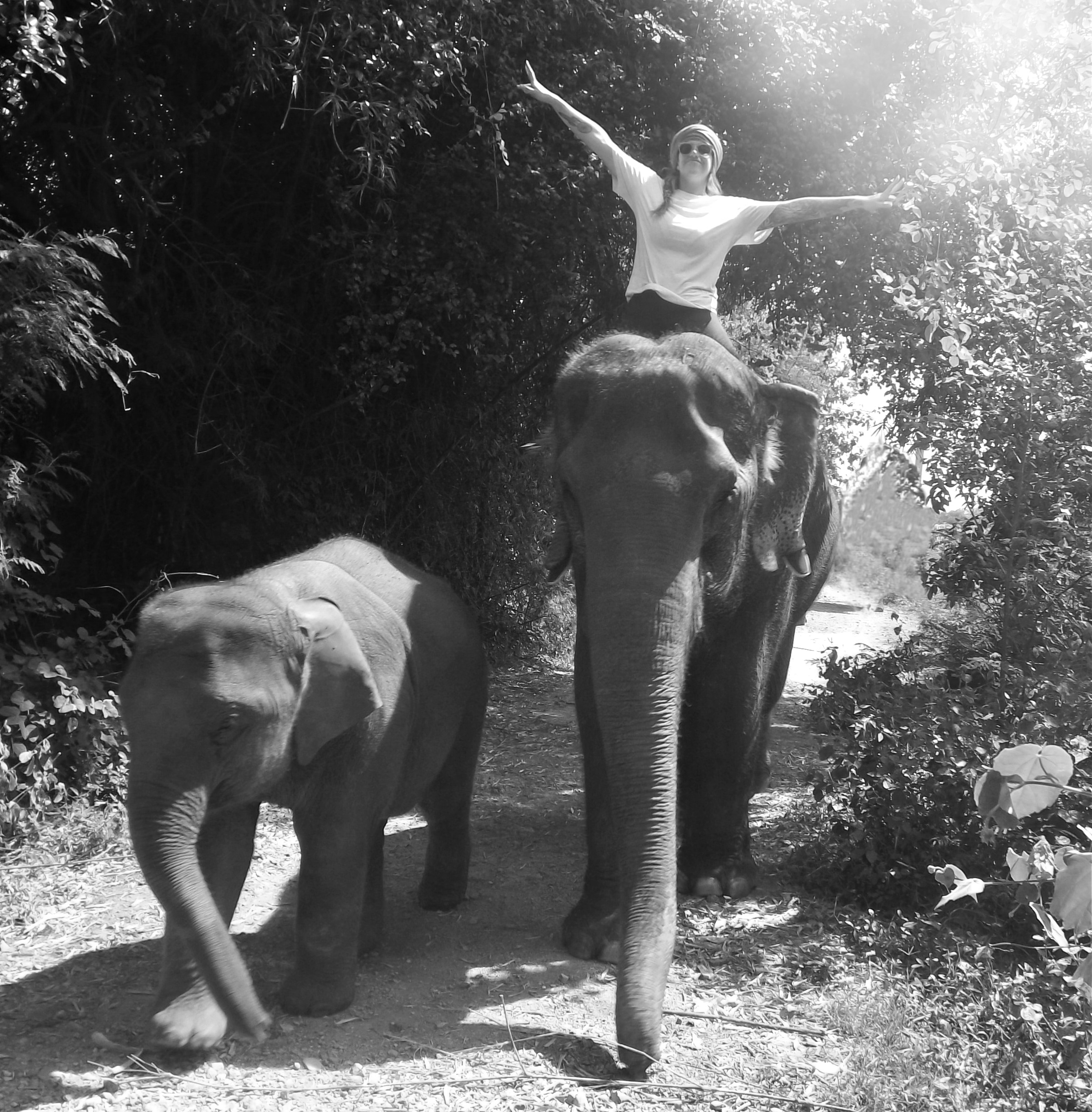Salomé est sur le dos d'un éléphant en liberté lors de son voyage spirituel en Thaïlande